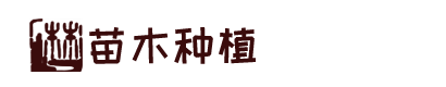 凯发手机版app