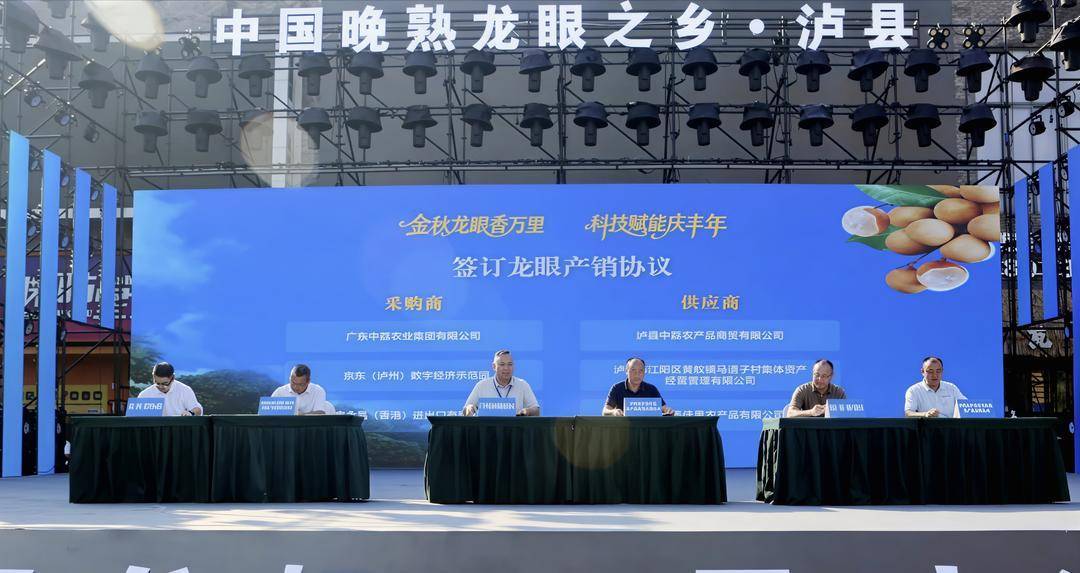 四川泸县龙眼即将“甜遍全国”！20万亩“致富黄金果”迎丰收有