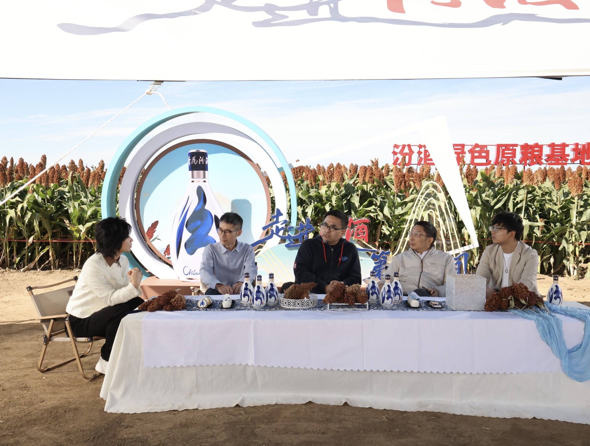 黑土沃野上的清香密码：十万亩红高粱书写汾酒“粮心”！