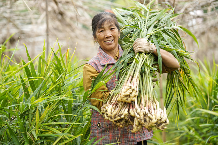 沃野千里奏丰歌 多地特色农产品迎丰收